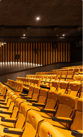 Theatre Consultancy Service